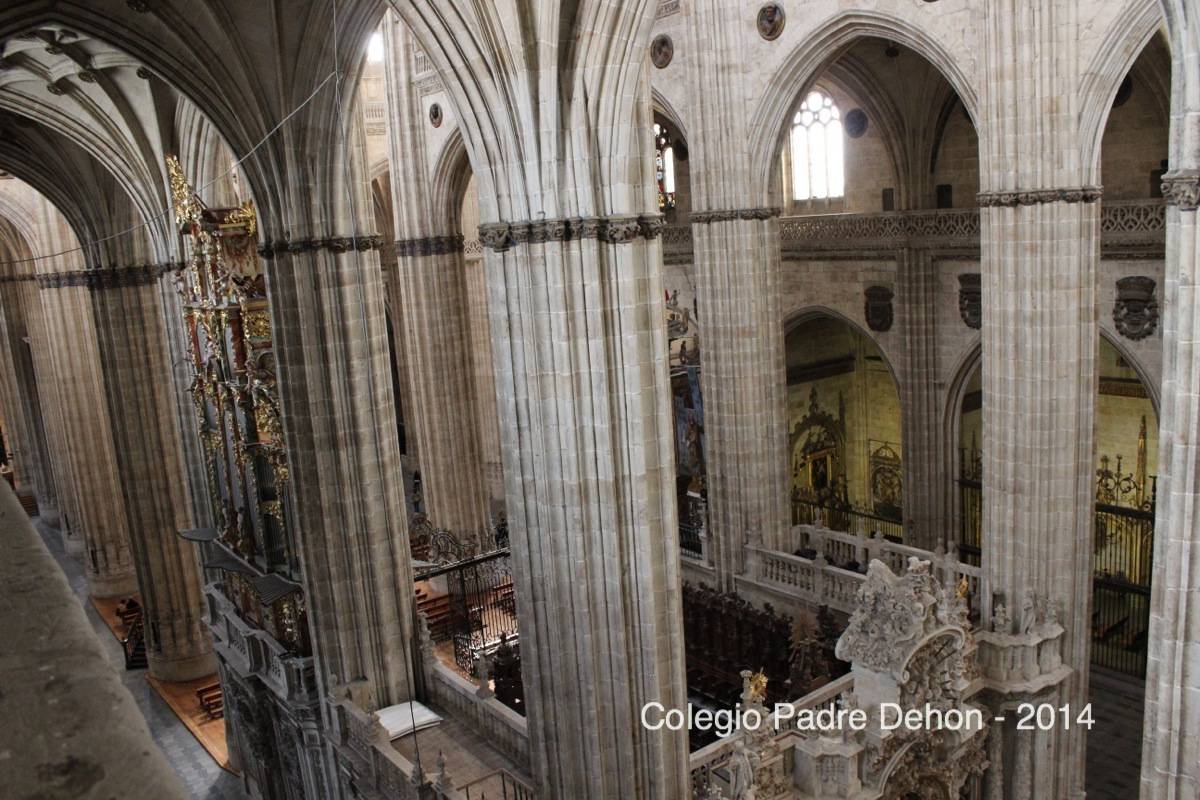 2014 03 22 SALAMANCA IERONIMUS CATEDRAL NUEVA (124)
